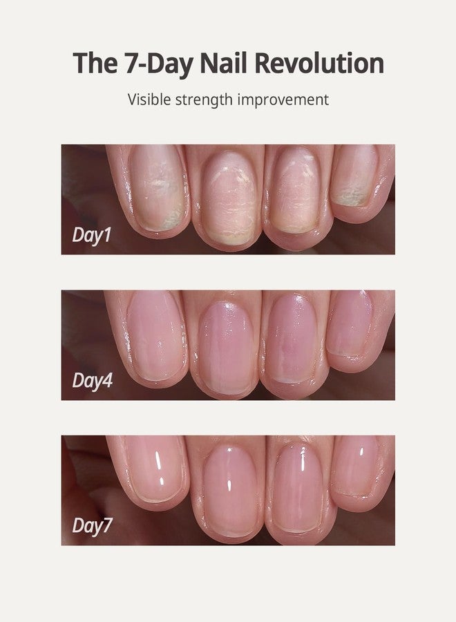 btartboxnails مقوي أظافر BTARTBOXNAILS Nailush ومُحفز نمو الأظافر - يُصلح الأظافر التالفة، ويُقوي الأظافر الضعيفة والرقيقة، ويُعزز نمو الأظافر بشكل فائق، ويُقوي الأظافر لفترة طويلة، 15 مل - Image 3